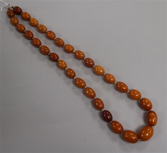 A single strand graduated oval amber bead necklace with 9ct gold clasp, gross weight 62 grams, 60cm.